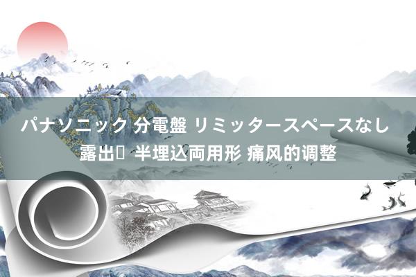 パナソニック 分電盤 リミッタースペースなし 露出・半埋込両用形 痛风的调整