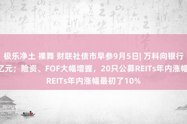 极乐净土 裸舞 财联社债市早参9月5日| 万科向银行融资114.8亿元；险资、FOF大幅增握，20只公募REITs年内涨幅最初了10%