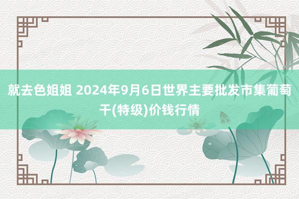 就去色姐姐 2024年9月6日世界主要批发市集葡萄干(特级)价钱行情