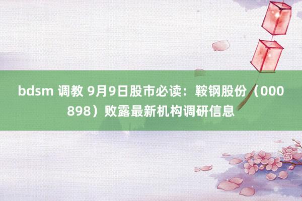 bdsm 调教 9月9日股市必读：鞍钢股份（000898）败露最新机构调研信息