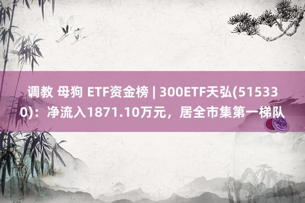 调教 母狗 ETF资金榜 | 300ETF天弘(515330)：净流入1871.10万元，居全市集第一梯队