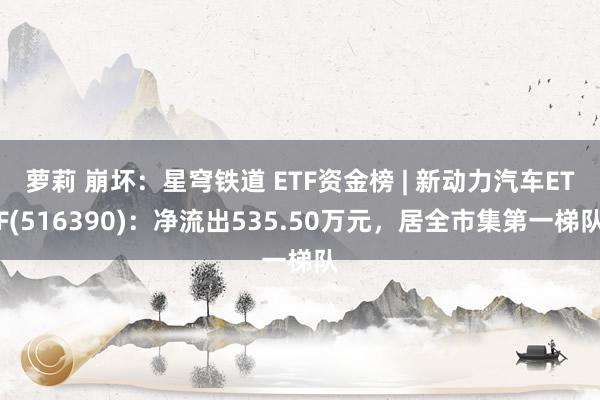 萝莉 崩坏：星穹铁道 ETF资金榜 | 新动力汽车ETF(516390)：净流出535.50万元，居全市集第一梯队