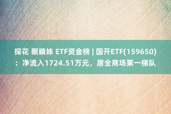 探花 眼睛妹 ETF资金榜 | 国开ETF(159650)：净流入1724.51万元，居全商场第一梯队