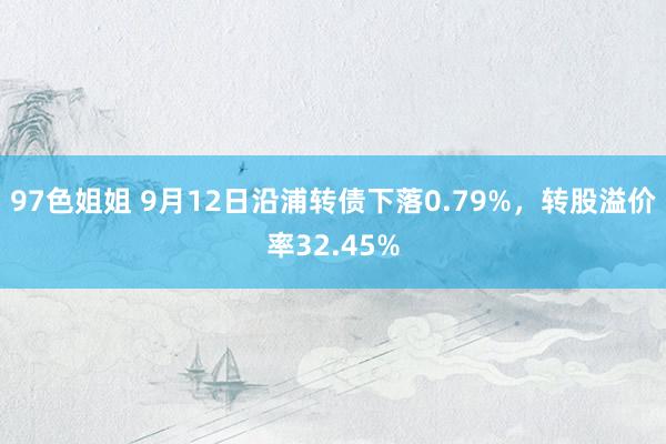 97色姐姐 9月12日沿浦转债下落0.79%，转股溢价率32.45%