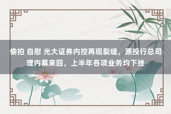 偷拍 自慰 光大证券内控再现裂缝，原投行总司理内幕来回，上半年各项业务均下挫