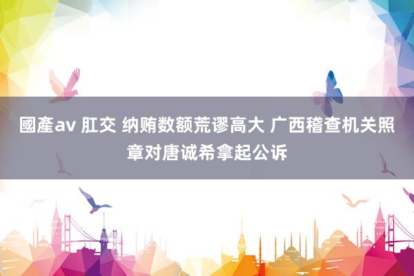 國產av 肛交 纳贿数额荒谬高大 广西稽查机关照章对唐诚希拿起公诉