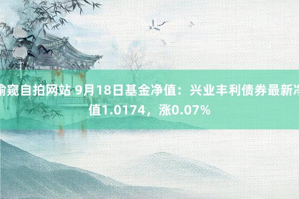 偷窥自拍网站 9月18日基金净值：兴业丰利债券最新净值1.0174，涨0.07%