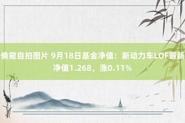 偷窥自拍图片 9月18日基金净值：新动力车LOF最新净值1.268，涨0.11%