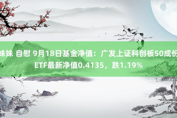 妹妹 自慰 9月18日基金净值：广发上证科创板50成份ETF最新净值0.4135，跌1.19%