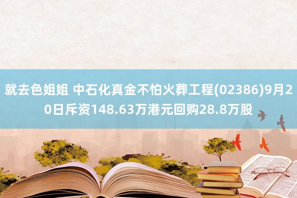 就去色姐姐 中石化真金不怕火葬工程(02386)9月20日斥资148.63万港元回购28.8万股