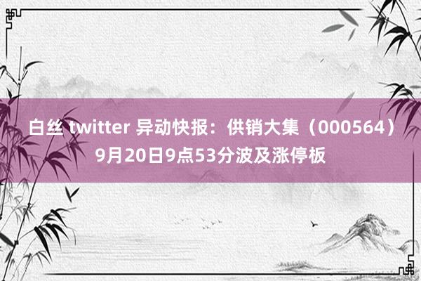 白丝 twitter 异动快报：供销大集（000564）9月20日9点53分波及涨停板