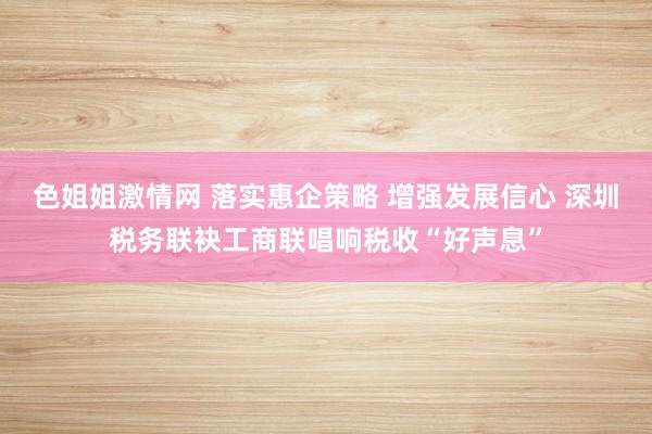 色姐姐激情网 落实惠企策略 增强发展信心 深圳税务联袂工商联唱响税收“好声息”