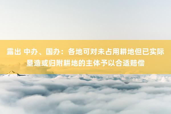 露出 中办、国办：各地可对未占用耕地但已实际垦造或归附耕地的主体予以合适赔偿