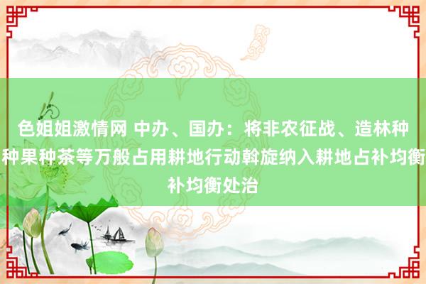 色姐姐激情网 中办、国办：将非农征战、造林种树、种果种茶等万般占用耕地行动斡旋纳入耕地占补均衡处治