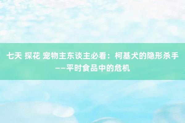 七天 探花 宠物主东谈主必看：柯基犬的隐形杀手——平时食品中的危机