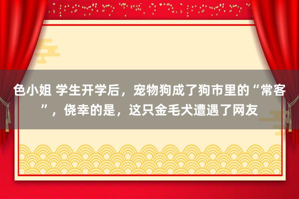 色小姐 学生开学后，宠物狗成了狗市里的“常客”，侥幸的是，这只金毛犬遭遇了网友