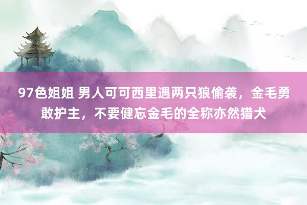 97色姐姐 男人可可西里遇两只狼偷袭，金毛勇敢护主，不要健忘金毛的全称亦然猎犬