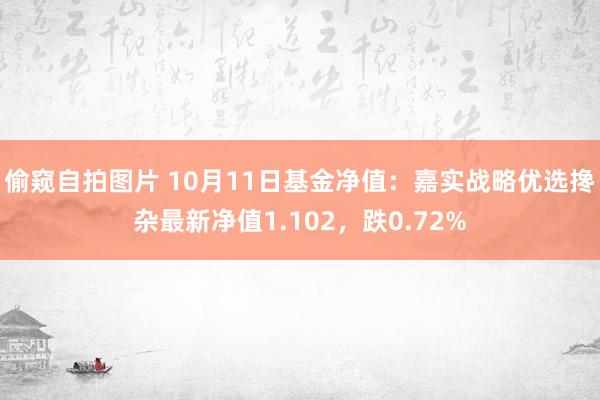 偷窥自拍图片 10月11日基金净值：嘉实战略优选搀杂最新净值1.102，跌0.72%