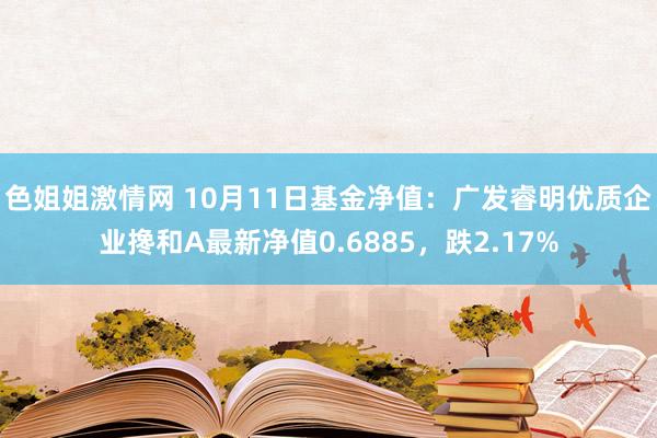 色姐姐激情网 10月11日基金净值：广发睿明优质企业搀和A最新净值0.6885，跌2.17%