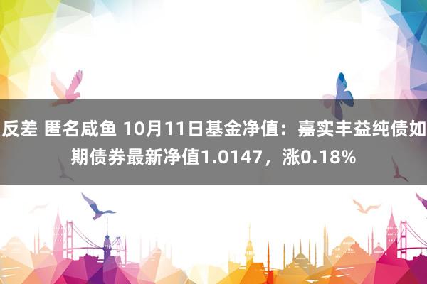 反差 匿名咸鱼 10月11日基金净值：嘉实丰益纯债如期债券最新净值1.0147，涨0.18%