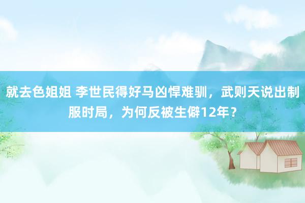 就去色姐姐 李世民得好马凶悍难驯，武则天说出制服时局，为何反被生僻12年？