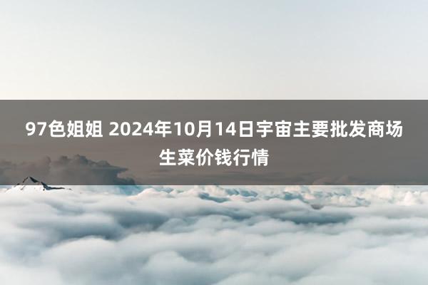 97色姐姐 2024年10月14日宇宙主要批发商场生菜价钱行情