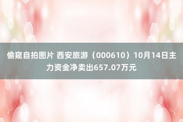 偷窥自拍图片 西安旅游（000610）10月14日主力资金净卖出657.07万元