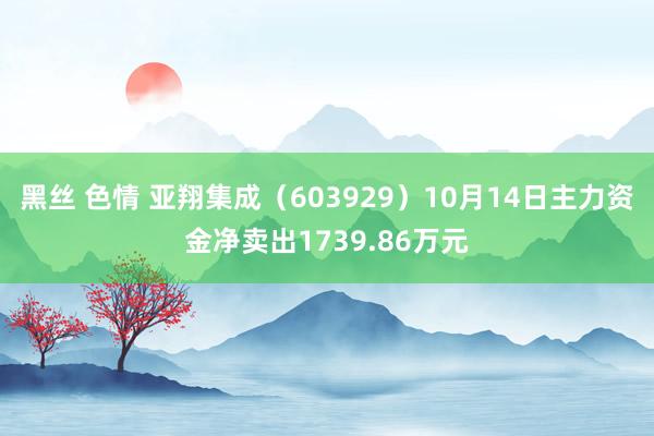 黑丝 色情 亚翔集成（603929）10月14日主力资金净卖出1739.86万元