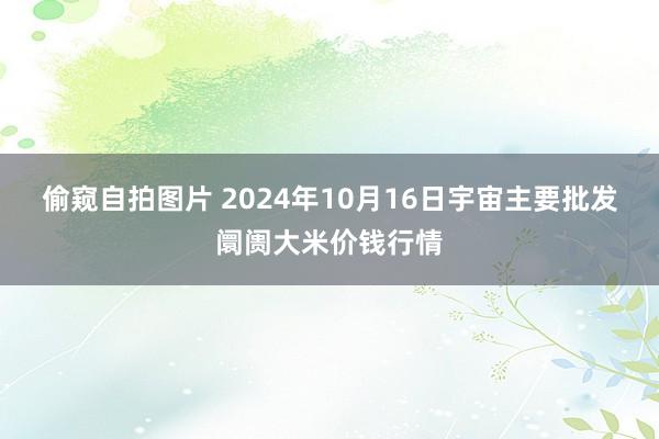 偷窥自拍图片 2024年10月16日宇宙主要批发阛阓大米价钱行情