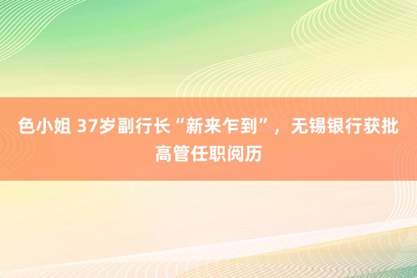 色小姐 37岁副行长“新来乍到”，无锡银行获批高管任职阅历