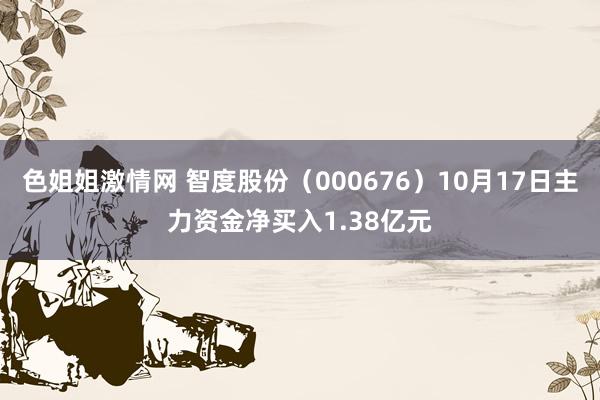 色姐姐激情网 智度股份（000676）10月17日主力资金净买入1.38亿元