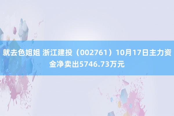 就去色姐姐 浙江建投（002761）10月17日主力资金净卖出5746.73万元