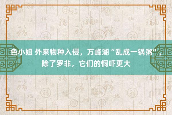 色小姐 外来物种入侵，万峰湖“乱成一锅粥”，除了罗非，它们的恫吓更大