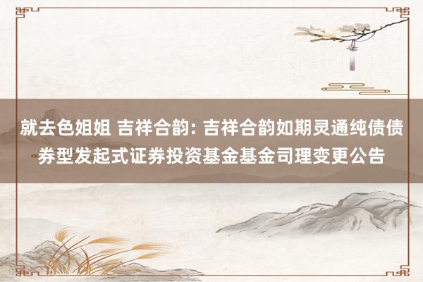 就去色姐姐 吉祥合韵: 吉祥合韵如期灵通纯债债券型发起式证券投资基金基金司理变更公告