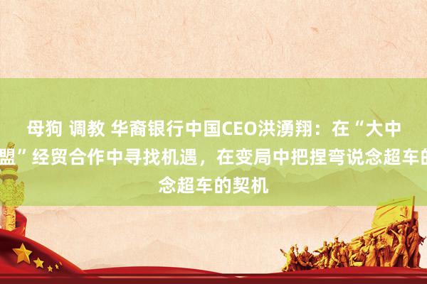 母狗 调教 华裔银行中国CEO洪湧翔：在“大中华-东盟”经贸合作中寻找机遇，在变局中把捏弯说念超车的契机