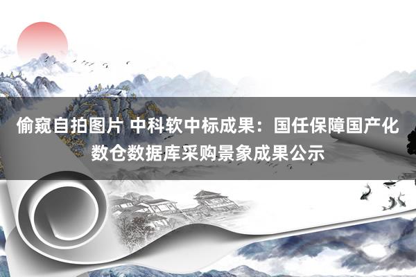 偷窥自拍图片 中科软中标成果：国任保障国产化数仓数据库采购景象成果公示