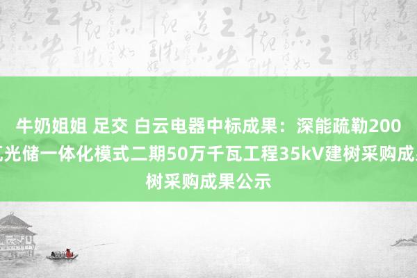 牛奶姐姐 足交 白云电器中标成果：深能疏勒200万千瓦光储一体化模式二期50万千瓦工程35kV建树采购成果公示