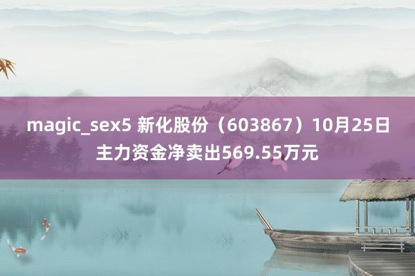 magic_sex5 新化股份（603867）10月25日主力资金净卖出569.55万元