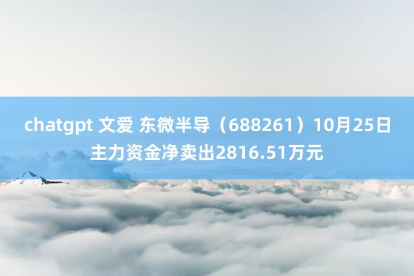 chatgpt 文爱 东微半导（688261）10月25日主力资金净卖出2816.51万元