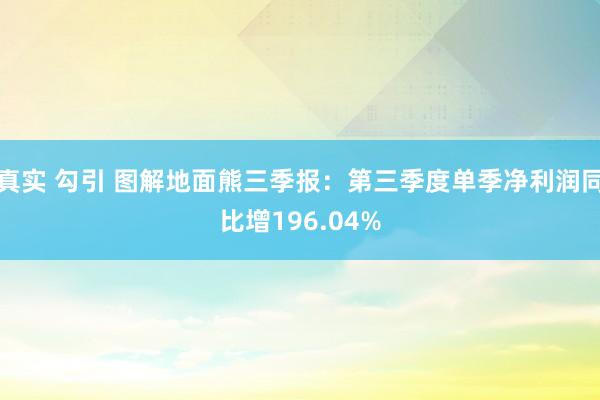 真实 勾引 图解地面熊三季报：第三季度单季净利润同比增196.04%