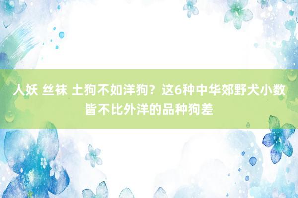 人妖 丝袜 土狗不如洋狗？这6种中华郊野犬小数皆不比外洋的品种狗差