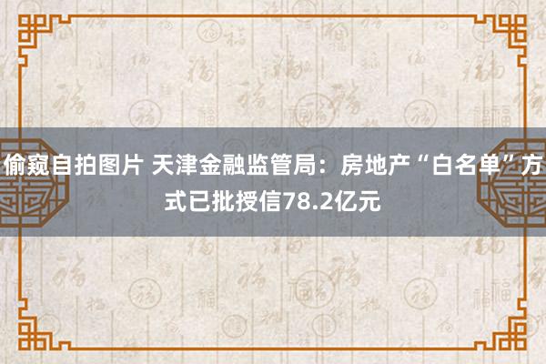 偷窥自拍图片 天津金融监管局：房地产“白名单”方式已批授信78.2亿元