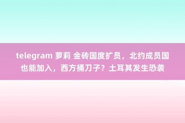 telegram 萝莉 金砖国度扩员，北约成员国也能加入，西方捅刀子？土耳其发生恐袭