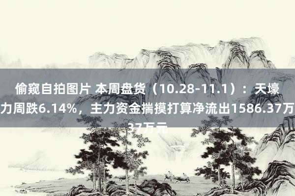 偷窥自拍图片 本周盘货（10.28-11.1）：天壕动力周跌6.14%，主力资金揣摸打算净流出1586.37万元