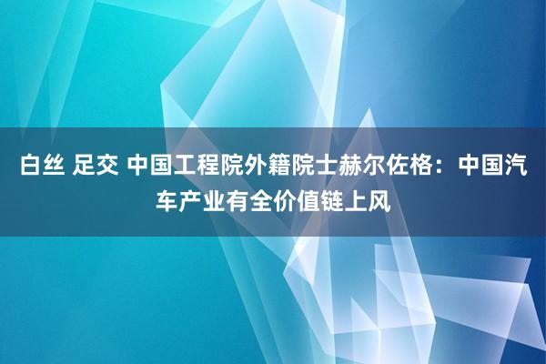 白丝 足交 中国工程院外籍院士赫尔佐格：中国汽车产业有全价值链上风