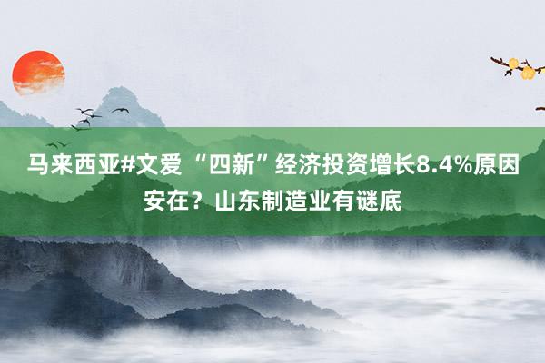 马来西亚#文爱 “四新”经济投资增长8.4%原因安在？山东制造业有谜底