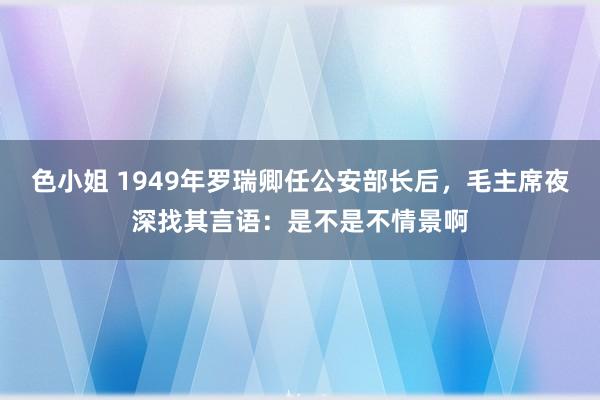 色小姐 1949年罗瑞卿任公安部长后，毛主席夜深找其言语：是不是不情景啊