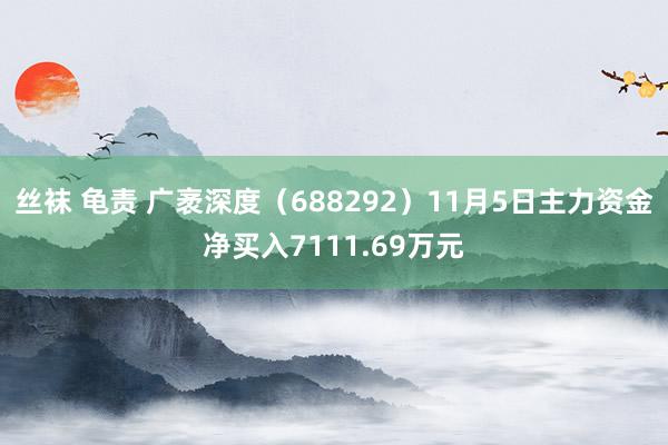 丝袜 龟责 广袤深度（688292）11月5日主力资金净买入7111.69万元