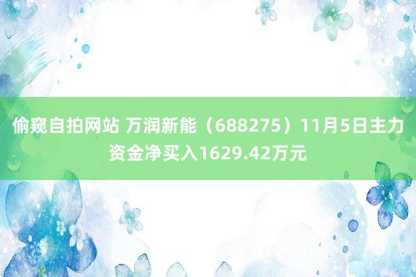 偷窥自拍网站 万润新能（688275）11月5日主力资金净买入1629.42万元