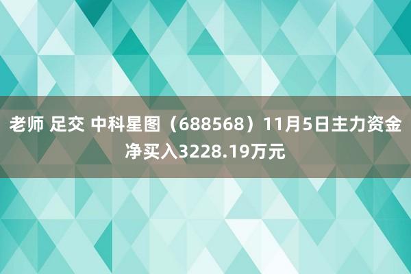 老师 足交 中科星图（688568）11月5日主力资金净买入3228.19万元